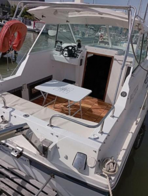 Nuit Insolite sur un Bateau au Cœur de Bordeaux
